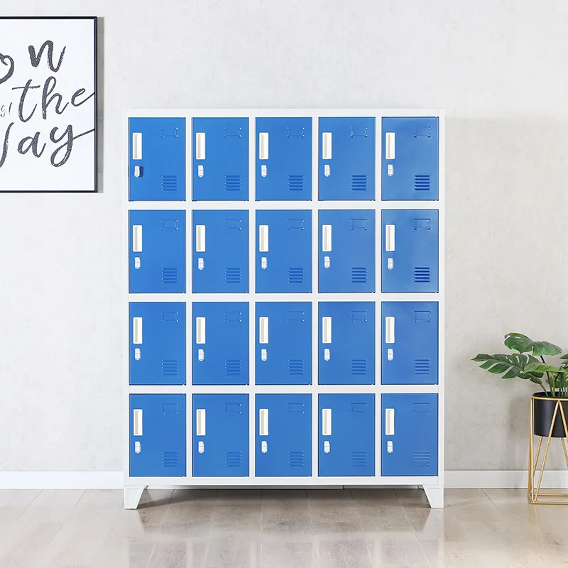 Multi-Column 20 Door Steel Loc