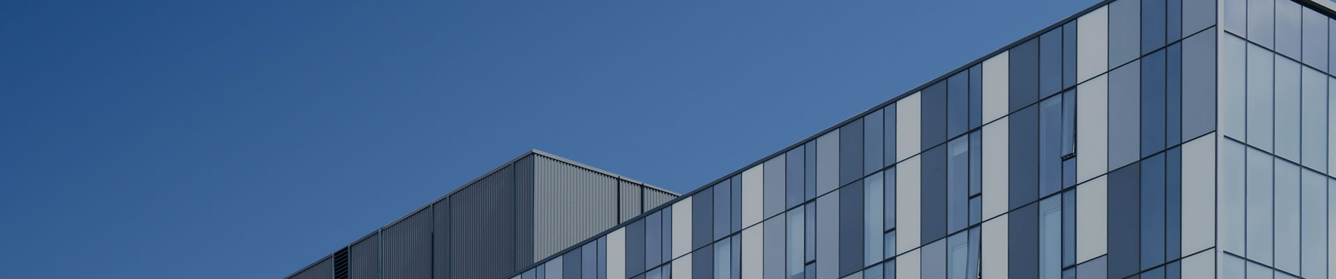 Company Profile
